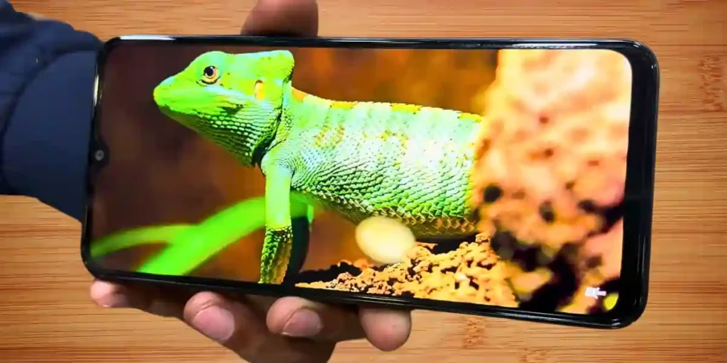 Vivo Y28 5G Display Quality