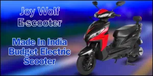 Joy Wolf E-scooter Price